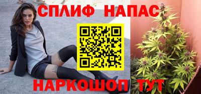 мдпв Краснодар