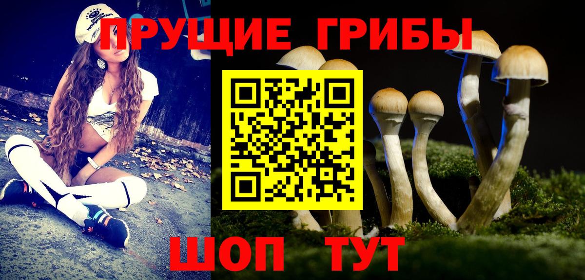 Псилоцибиновые грибы Magic Shrooms Арсеньев