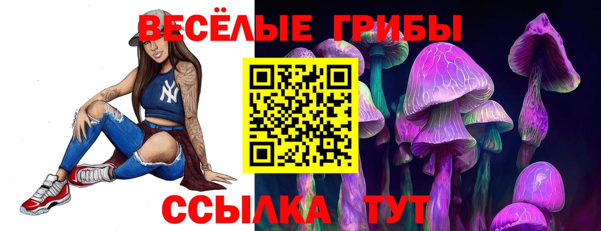 Арсеньев  Псилоцибиновые грибы прущие грибы  Вход с VPN 